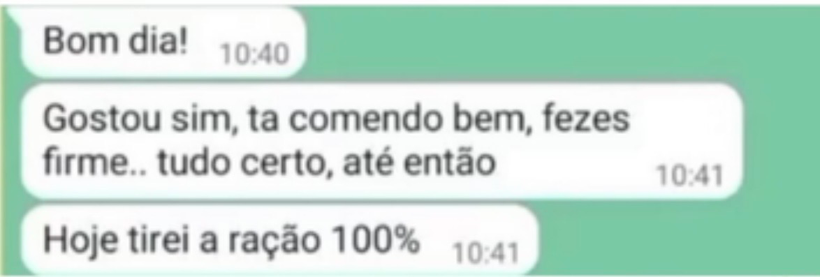 Print de conversa de WhatsApp em que a tutora conta que o cão gostou, está comendo bem, com fezes firmes, e que tirou a ração 100 por cento