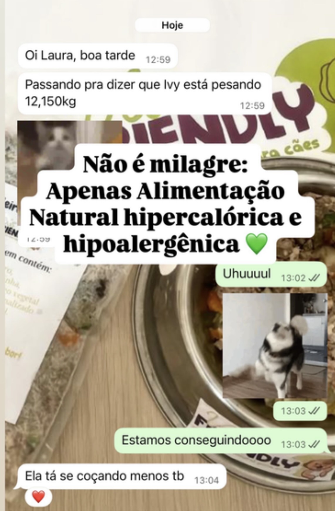 Depoimento real sobre dieta hipoalergênica e hipercalórica