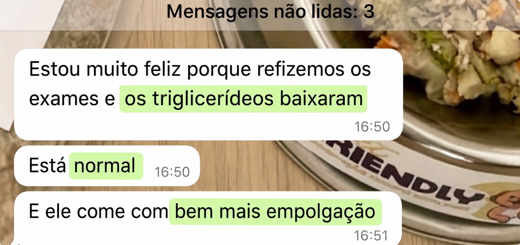 Print de conversa de WhatsApp em que a tutora relata que os triglicerídeos do cão baixaram, está normal e come com mais empolgação