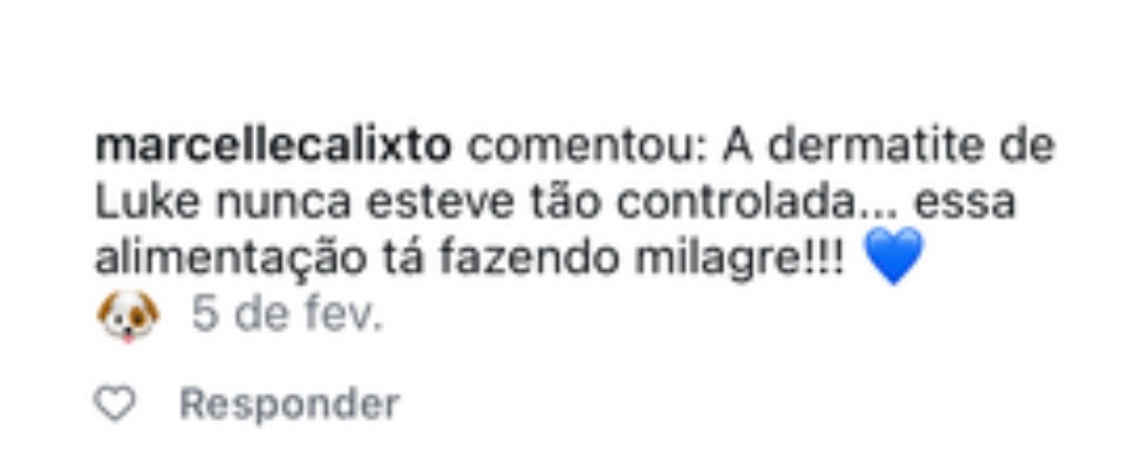Print de comentário no Instagram dizendo que a dermatite do cão Luke nunca esteve tão controlada e que essa alimentação está fazendo milagre
