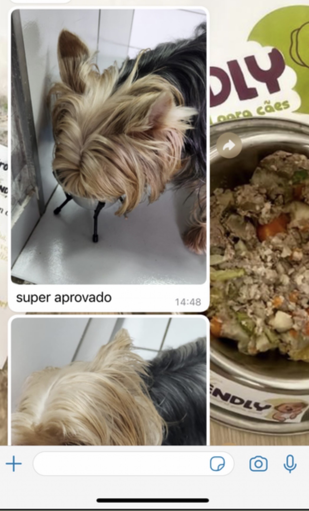 Depoimento real de tutor dizendo super aprovado