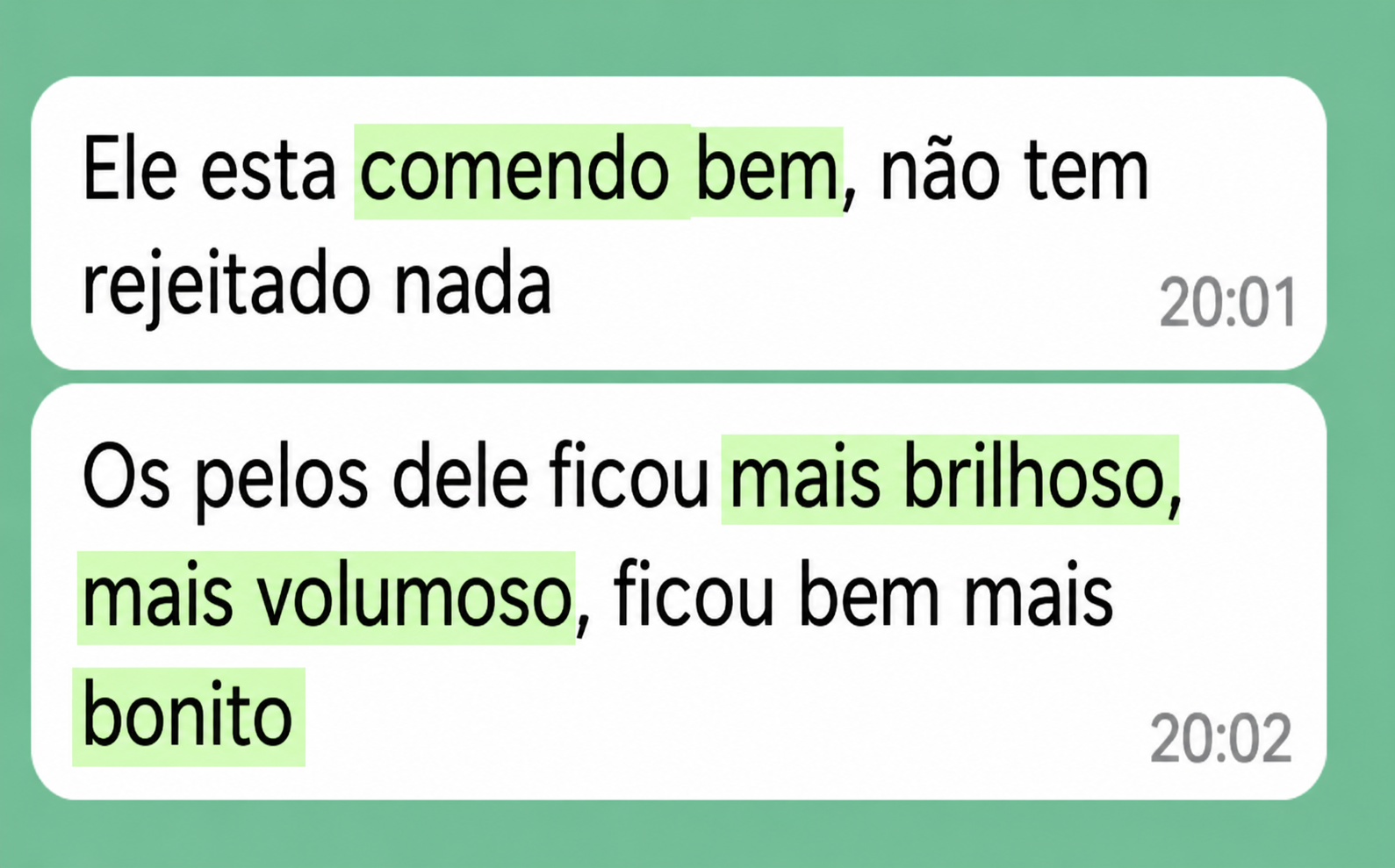 Print de conversa de WhatsApp em que a tutora conta que o cão está comendo bem, não rejeitou nada, e a pelagem ficou mais brilhosa, volumosa e bonita
