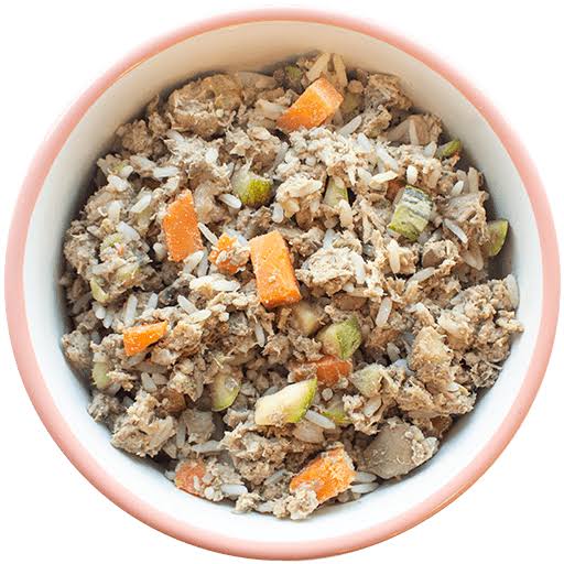 Tigela branca com borda rosa cheia de alimentação natural pronta para cão, com carne desfiada, arroz, cenoura e abobrinha em cubos